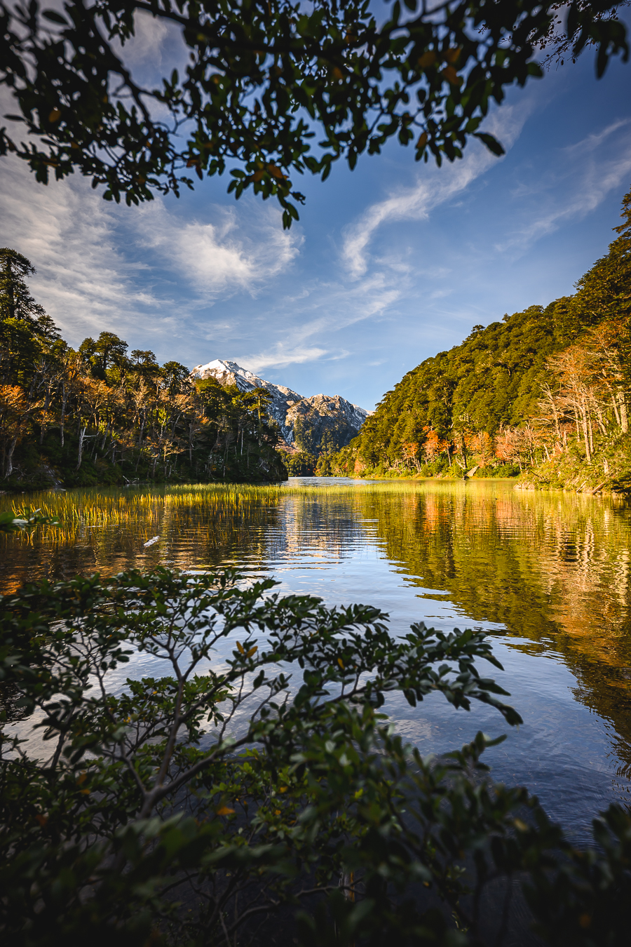 Lago rodeado de bosque y montanas en Huerquehue
